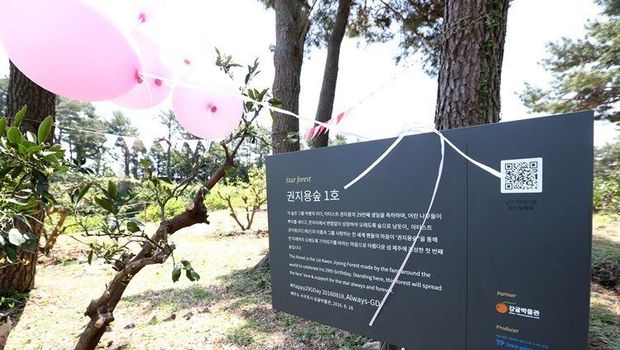 Fans G-Dragon mendirikan hutan sebagai hadiah ulang tahun