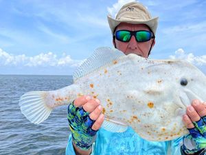 Viral Pemancing Dapat Ikan Aneh Mirip Kulit Roti Kebab