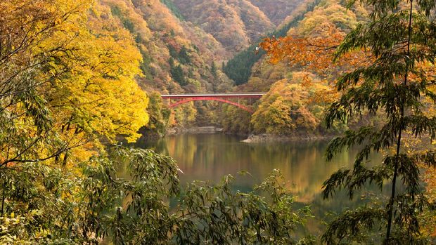 Okutama Lake Okutama and Kouran bridge in autumn