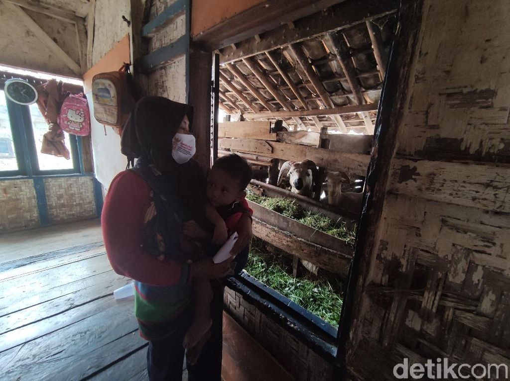 Miris! Keluarga di Cianjur Tinggal Satu Atap dengan Kandang Kambing