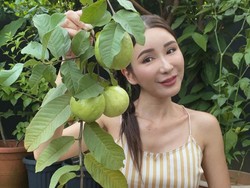 Sosialita Singapura Jamie Chua Kini Sibuk Tanam Buah dan Pelihara Ayam