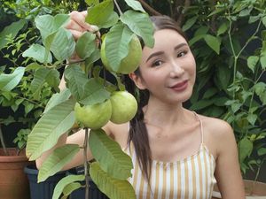 Sosialita Singapura Jamie Chua Kini Sibuk Tanam Buah dan Pelihara Ayam Sosialita Singapura Jamie Chua Kini Sibuk Tanam Buah dan Pelihara Ayam