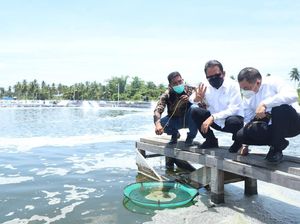 KKP Revitalisasi Tambak Udang di Aceh Timur, Target Panen 2 Ton/Ha