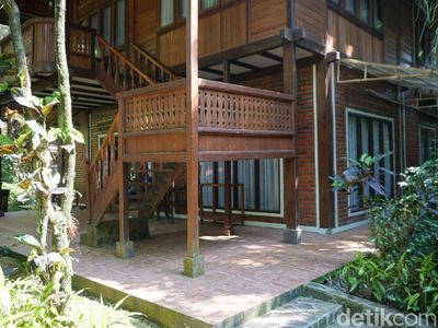 Potret Jambuluwuk Puncak yang Tenang dan Menenangkan