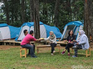 7 Kegiatan Seru di Hutan Hujan Sentul, Mulai dari Ngopi sampai Trekking 7 Kegiatan Seru di Hutan Hujan Sentul, Mulai dari Ngopi sampai Trekking