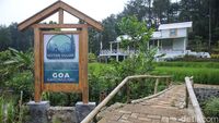 Menjelajahi Hutan Hujan Sentul