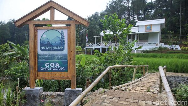 Menjelajahi Hutan Hujan Sentul