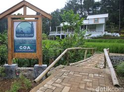 Menjelajahi Hutan Hujan Sentul