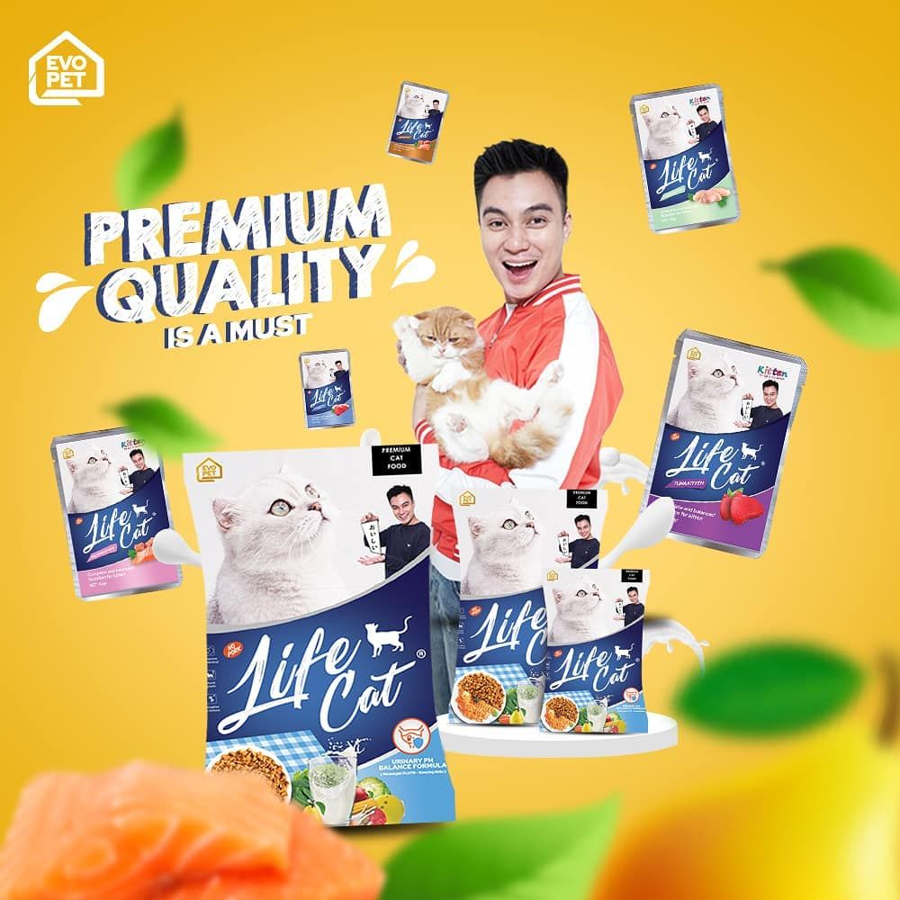 Sumber Kekayaan Baim Wong