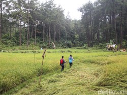Trekking Jelajah Hutan sampai Menemukan Goa Misterius di Sentul