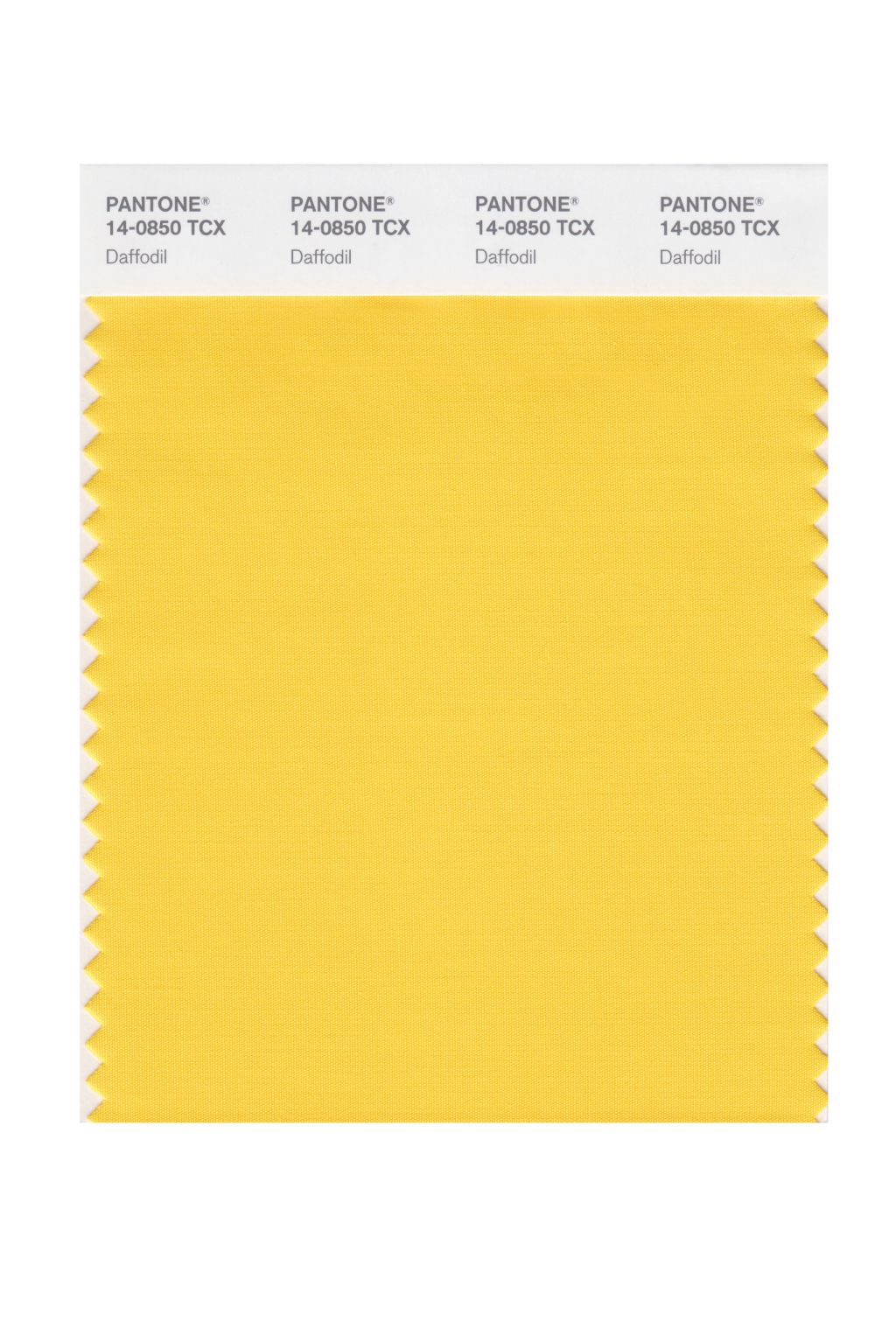 Daffodil 14-0850