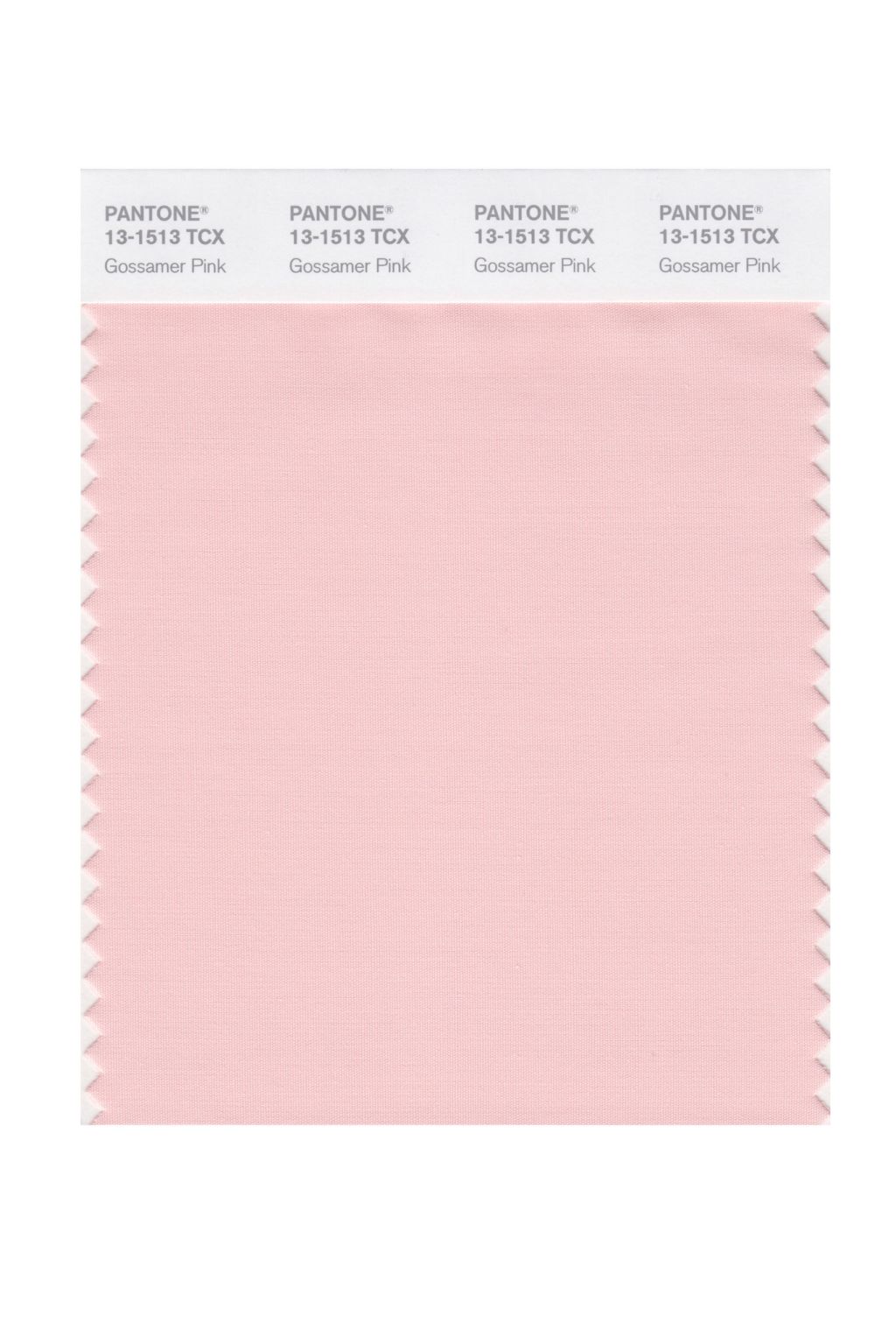 Gossamer Pink 13-1513