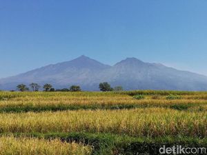 Pendakian Gunung Arjuno-Welirang Ditutup, Bukan Karena PPKM Tapi Cuaca Ekstrem Pendakian Gunung Arjuno-Welirang Ditutup, Bukan Karena PPKM Tapi Cuaca Ekstrem