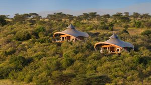 Potret Hotel Terbaik Dunia 2021, Ada di Tengah Hutan Belantara!