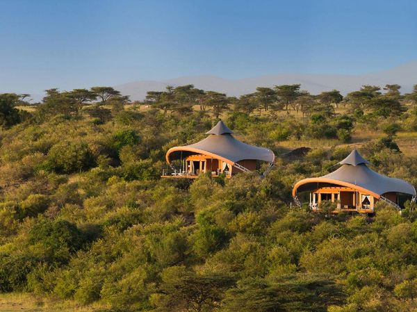 Potret Hotel Terbaik Dunia 2021, Ada di Tengah Hutan Belantara!