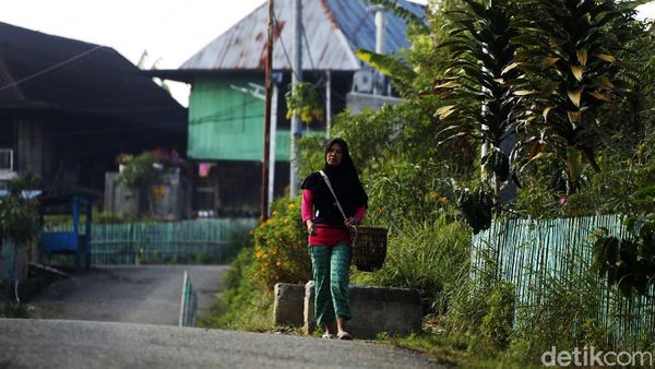 Desa Plakat yang Punya Tenaga listrik Mandiri  Loh