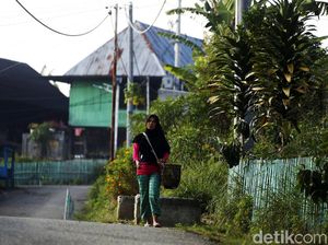 Desa Plakat yang Punya Tenaga listrik Mandiri  Loh
