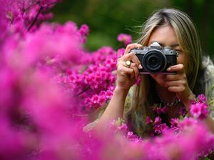 Nikon Z fc Diboyong ke Indonesia, Harganya Rp 13 Jutaan Nikon Z fc Diboyong ke Indonesia, Harganya Rp 13 Jutaan