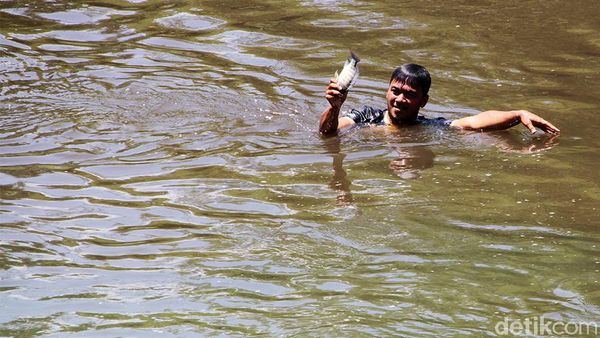 Pencemaran Limbah Ciu di Bengawan Solo Makin Parah