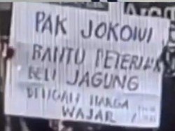 Peternak Ayam Minta Tolong Jokowi Kok Malah Ditangkap?
