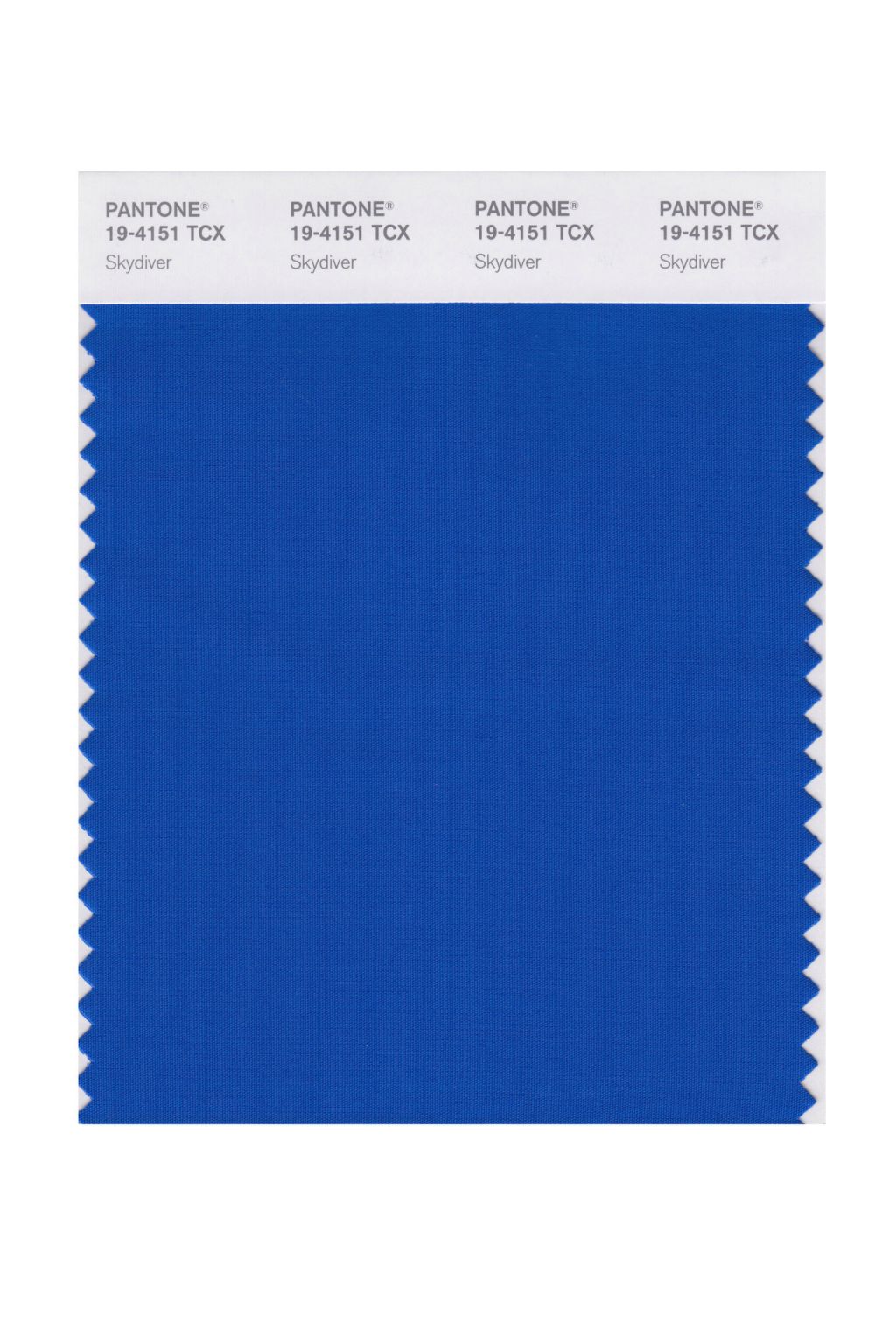 Skydiver 19-4151