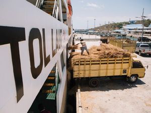 Tol Laut Menjangkau Nusantara Sampai Pulau Terluar