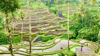 Mengejutkan! 5 Kota Ini Dianggap Biasa Saja oleh Turis Bule