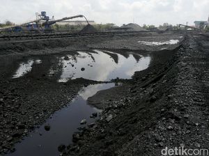 Produksi Batu Bara Sumsel Naik Jadi 120,74 Juta Ton