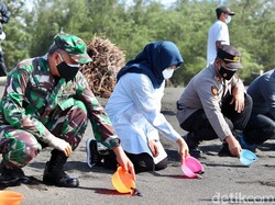 Lepas Tukik di Pantai Cemara Tandai Dibukanya Wisata di Banyuwangi