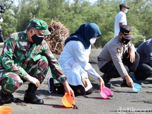 Lepas Tukik di Pantai Cemara Tandai Dibukanya Wisata di Banyuwangi Lepas Tukik di Pantai Cemara Tandai Dibukanya Wisata di Banyuwangi