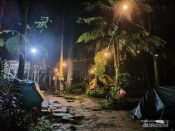 Rekomendasi Kemping Ceria di Hutan Pinus Bogor, Cobalah ke Curug Batu Gede Puncak