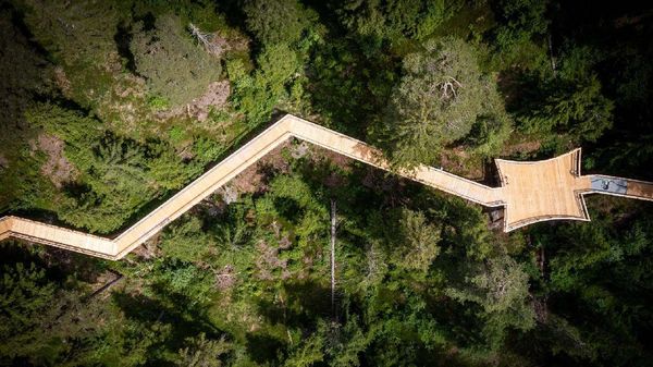 Foto: Ada di Swiss, Ini Jalan Setapak Terpanjang di Dunia