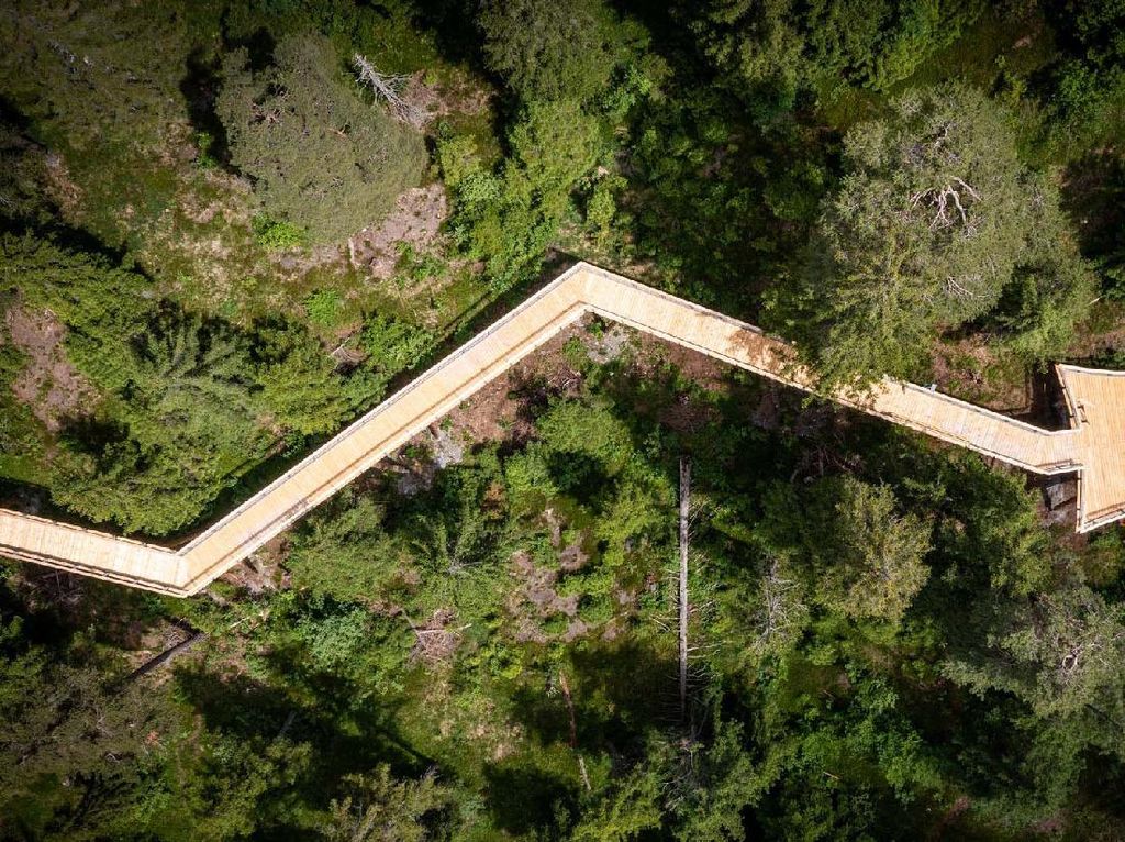 Foto: Ada di Swiss, Ini Jalan Setapak Terpanjang di Dunia Foto: Ada di Swiss, Ini Jalan Setapak Terpanjang di Dunia