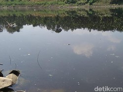 PDAM Blora Setop Olah Air Bengawan Solo, 12 Ribu Pelanggan Terdampak