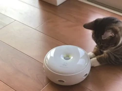 Pencinta Kucing Wajib Tahu! Robot Bulu Penghibur Kucing dari Jepang