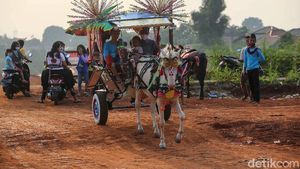 Warga Manfaatkan Lahan Proyek Tol Cijago Sebagai Arena Bermain