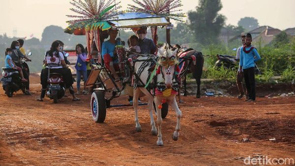Warga Manfaatkan Lahan Proyek Tol Cijago Sebagai Arena Bermain