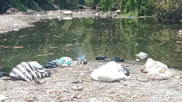 Belum Usai soal Ribuan Ikan Mati, Sungai Dengkeng Kini Penuh Sampah