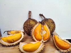 Mengenal Buah Lai, Durian Lokal dari Kalimantan