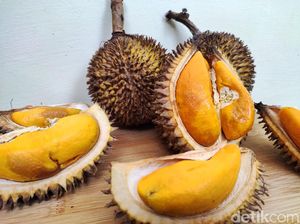 Berburu Buah Lai di Jakarta, Durian Oranye yang Enak dan Kaya Manfaat Berburu Buah Lai di Jakarta, Durian Oranye yang Enak dan Kaya Manfaat