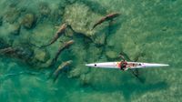 Karya Jawara Drone Photo Award 2021 Bikin Mata Terkesima