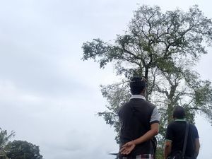 Warga Cerita Kemiripan Fenomena Burung Berjatuhan di Gianyar 2018 dan 2021 Warga Cerita Kemiripan Fenomena Burung Berjatuhan di Gianyar 2018 dan 2021