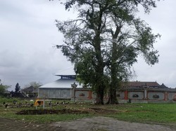 Autopsi Mengemuka Guna Menguak Misteri Burung Berjatuhan di Bali