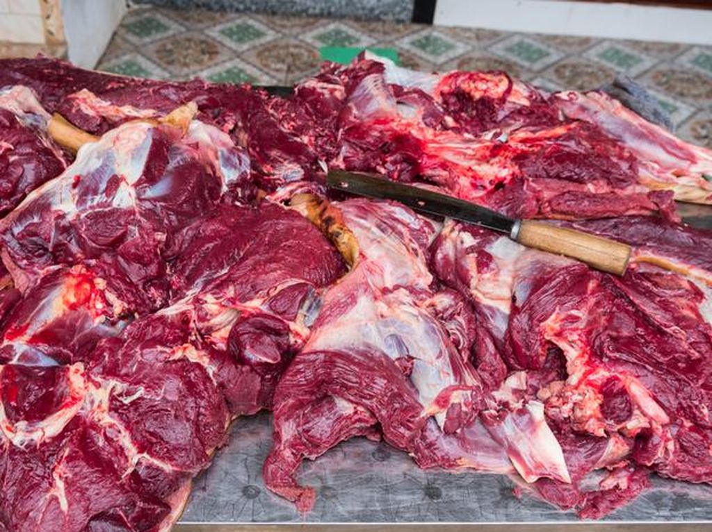 Ada Penjualan Daging Anjing di Pasar Senen, Pakar Minta Ada Penertiban! Ada Penjualan Daging Anjing di Pasar Senen, Pakar Minta Ada Penertiban!