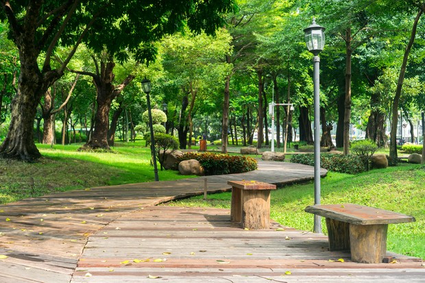 Taman/Foto: Freepik.com/Victor217 Taman