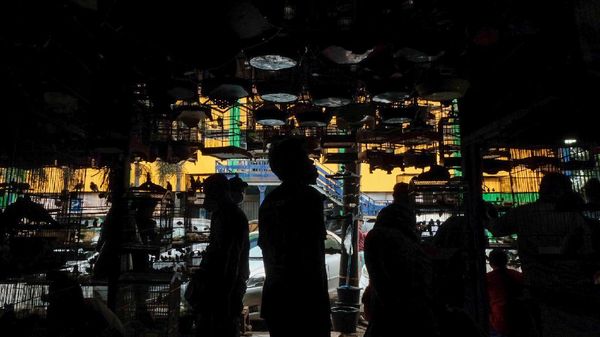 Geliat Pasar Burung Pramuka yang Ramai Saat Akhir Pekan