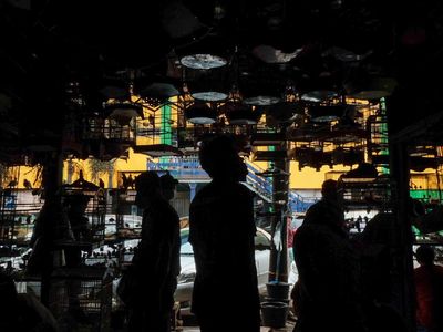 Geliat Pasar Burung Pramuka yang Ramai Saat Akhir Pekan