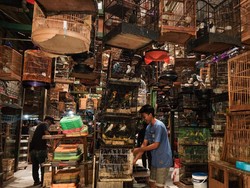 Jenis-jenis Pasar: Pengertian Pasar Regional, Lokal, Internasional, dan Lainnya