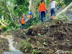 Longsor Gegara Hujan Deras Putus Akses 2 Desa di Bondowoso