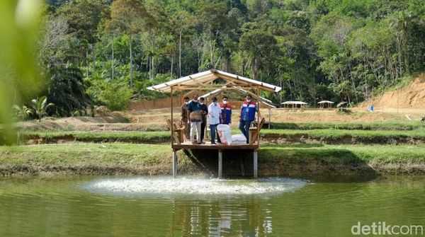 Menengok Kampung Patin yang Dikunjungi Sandiaga Uno di Riau